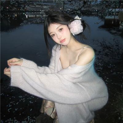 紫禁秘录